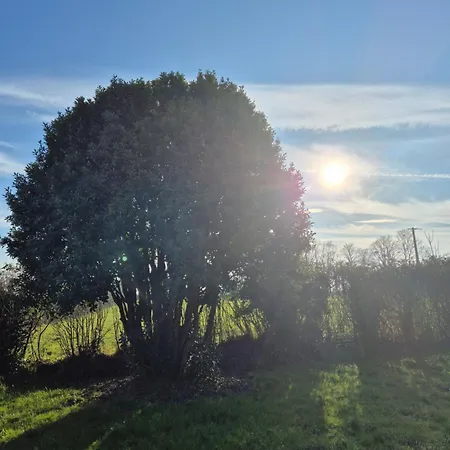 Ferienhaus Le Longbeach 2 Longueville (Calvados)