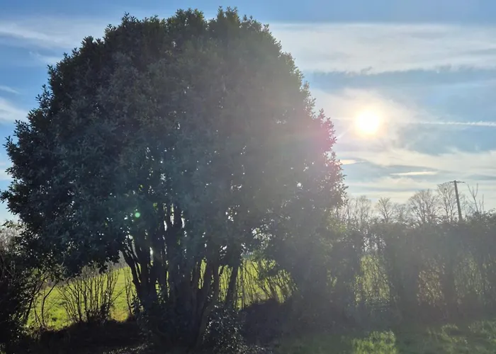 Casa vacanze Le Longbeach 2 Longueville (Calvados)